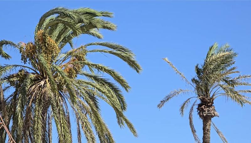 MÉTEO | Divendres assolellat, fred i ventós