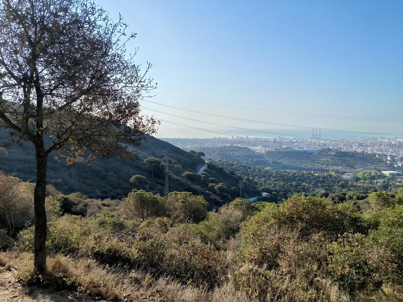 Aquest diumenge entra en vigor a Badalona el ban més restrictiu per prevenir incendis forestals
