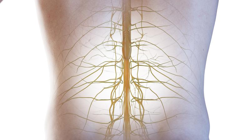 Mireia Illueca, neurocirurgiana: 'Per tractar el dolor d'esquena cal fer un abordatge interdisciplinari en el pacient'