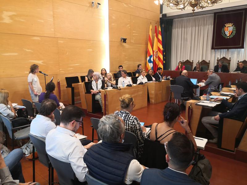 PLE DECLARACIÓ PILA