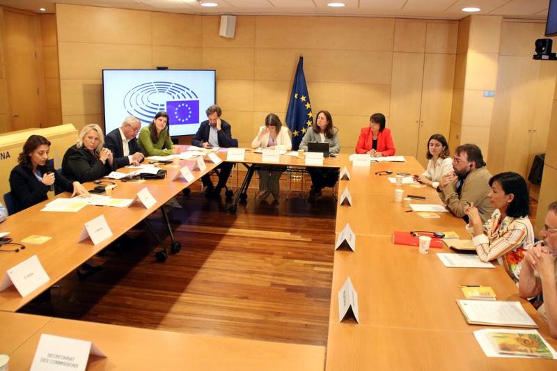 El Sindicat de Llogateres proposa als eurodiputats imitar el model d'Amsterdam i impedir les &ldquo;compres especulatives&rdquo;
