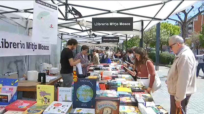 sant jordi 2