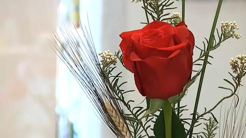 rosa sant jordri