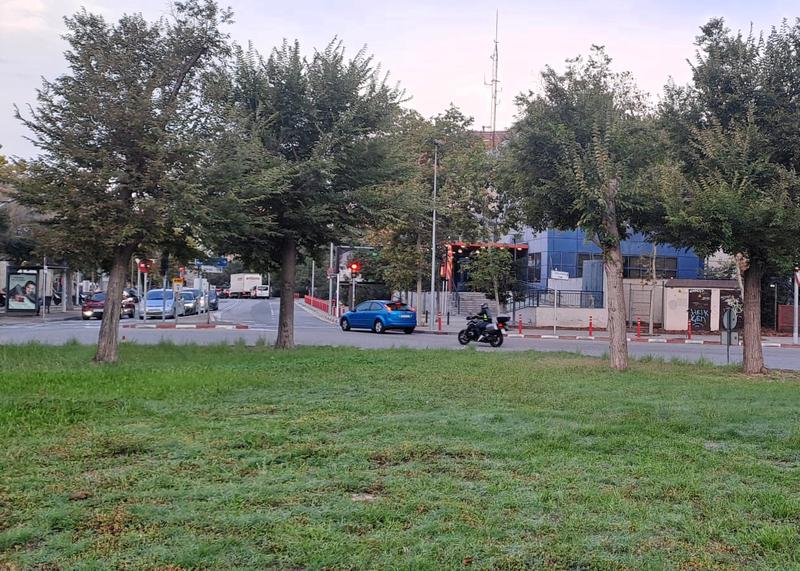 La rotonda de l'Alguer es renovarà amb nova vegetació i un nou sistema de reg