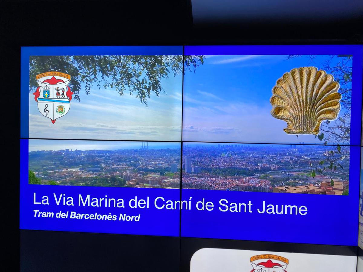 WhatsApp Image 2026-02-07 at 11.24.02