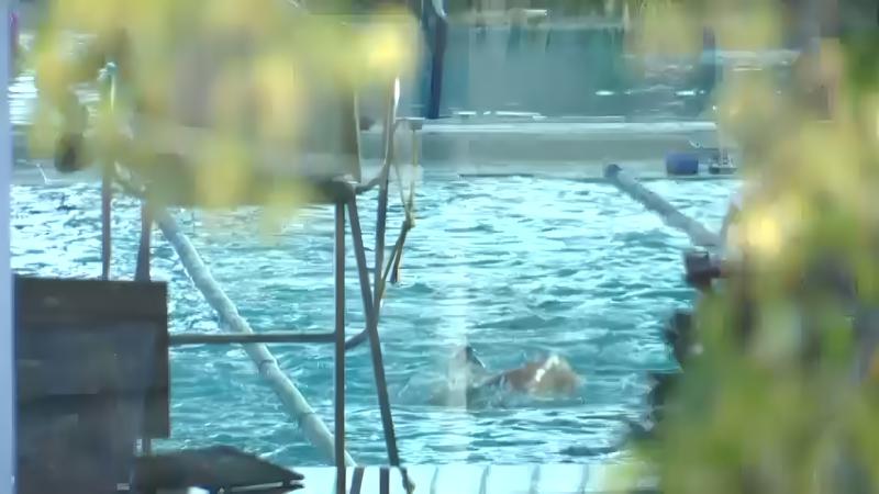 Menys carrils a la piscina de Sistrells pels cursets de natació a causa del mal estat del fons
