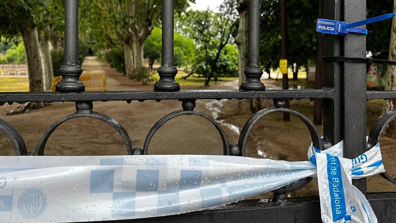 La presència de dos senglars ha obligat a tancar durant unes hores el parc de Ca l'Arnús