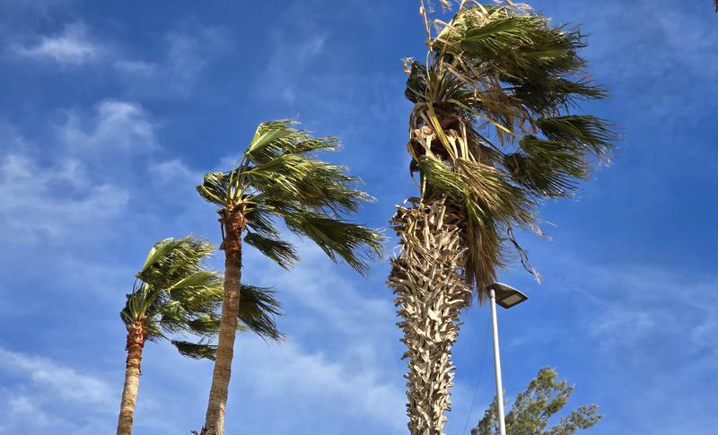 MÉTEO | Dijous en alerta per fortes ventades de ponent i mala mar