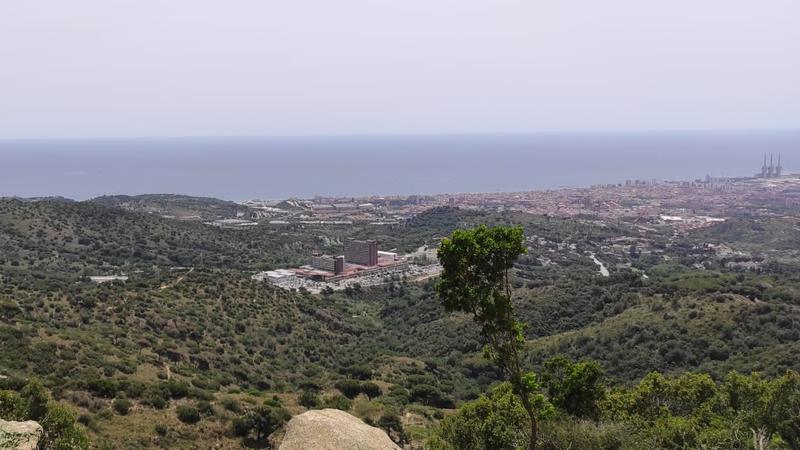 PANORAMICA BADALONA DES DE TORRE BRAVO SERRALADA DE MARINA  HOSPITAL GERMANS TRIAS CAN RUTI I TRES XEMENEIES