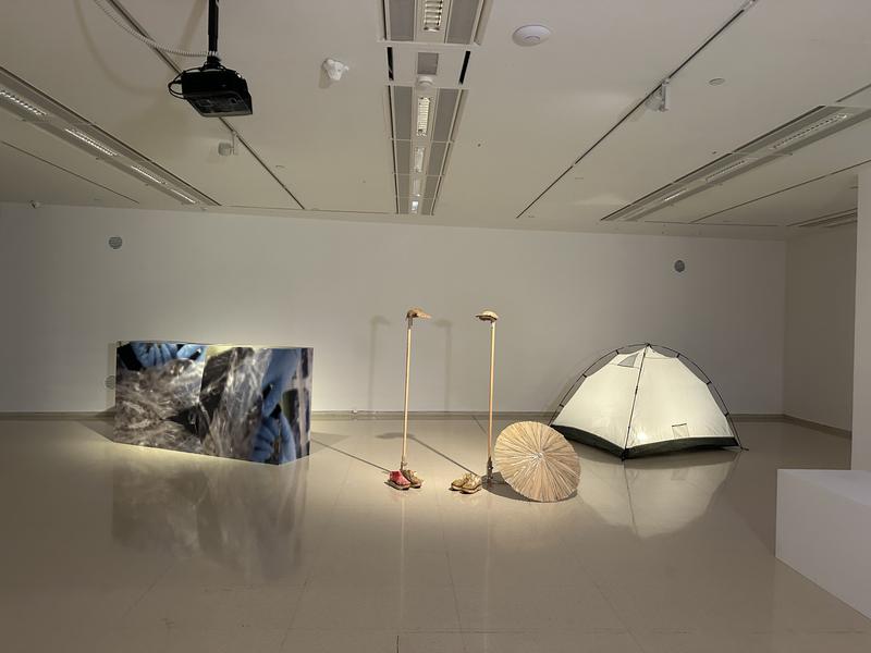 Crear una exposició d'art entre alumnes i professionals