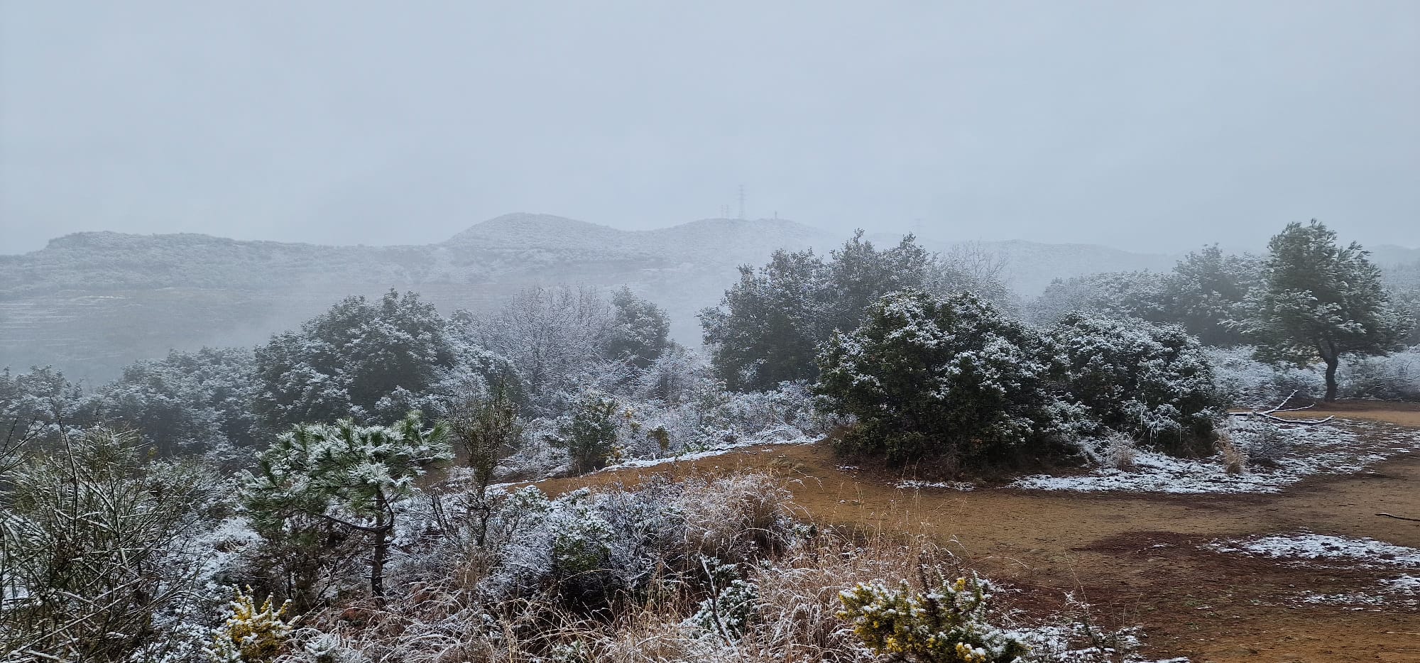 WhatsApp Image 2023-02-27 at 11.37.04