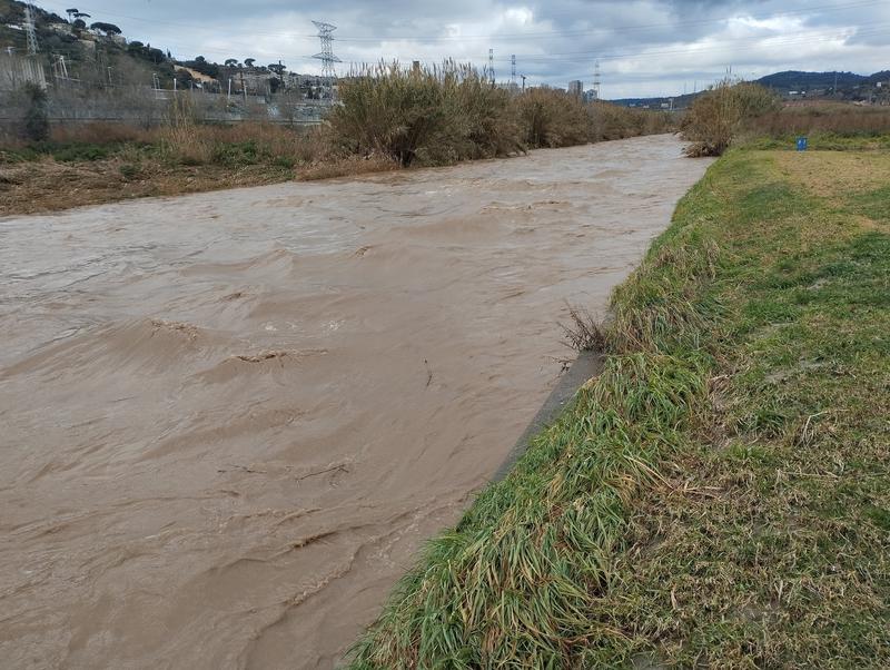 Reobert el parc fluvial del Besòs després del seu tancament per la pujada del riu