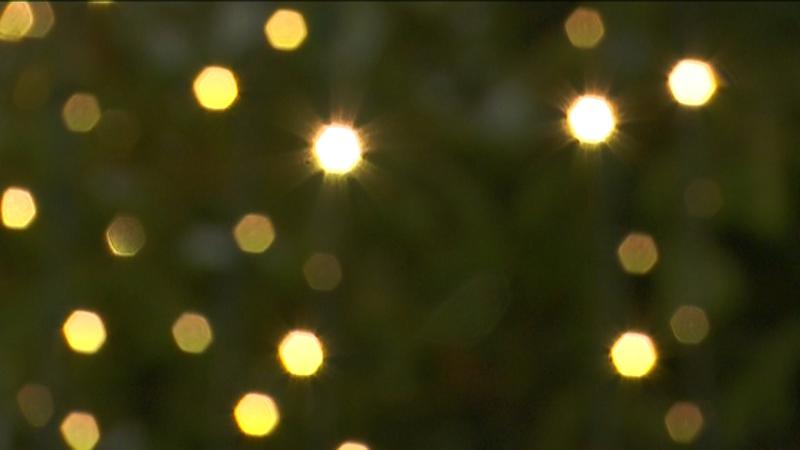 Una seixantena de vials de Badalona s'il·luminaran aquest Nadal amb llums, arbres i figures de grans dimensions