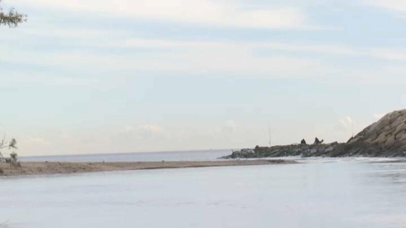 El projecte de renaturalització de la desembocadura del riu Besòs es farà realitat l'agost de 2028