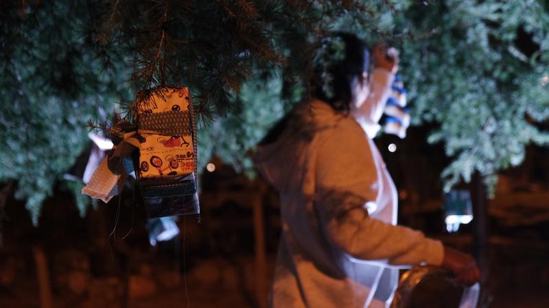 L'AV de Sant Antoni de Llefià engalana un arbre de Nadal natural per dinamitzar el barri
