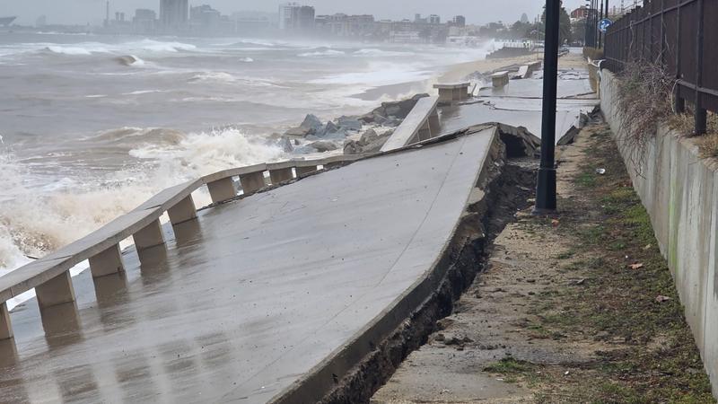 Badalona demanarà declarar el Passeig Marítim com a zona d'emergència