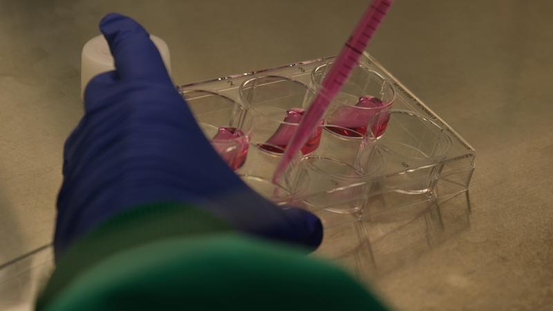 atencio-integral-per-avancar-en-la-recerca-de-les-malalties-minoritaries