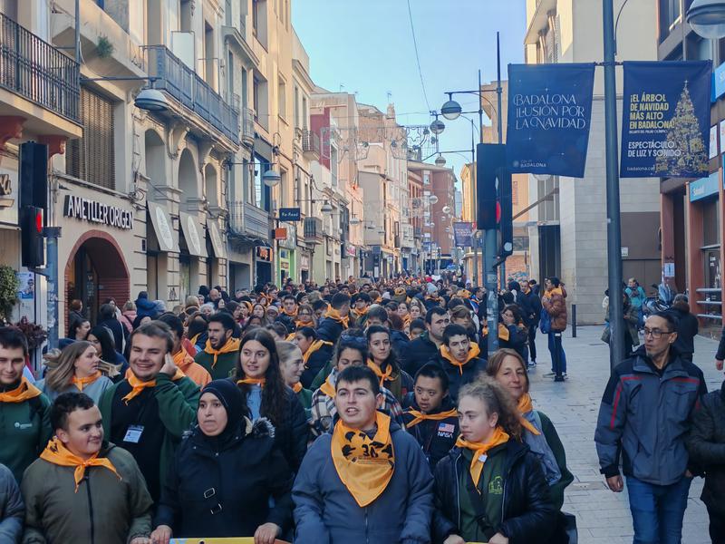 Centenars de persones surten al carrer per reivindicar els drets de les persones amb discapacitat