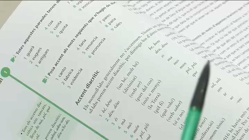 Allau de peticions en els cursos per facilitar l'accés al títol de nivell C de català