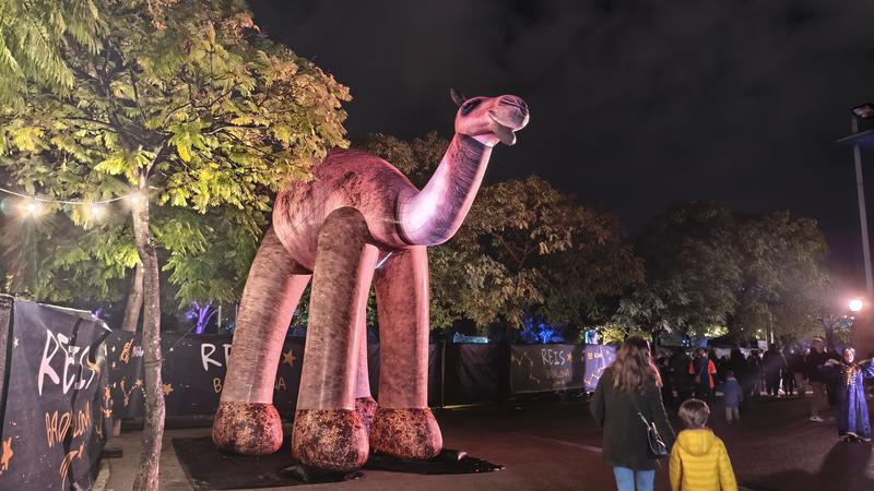 campament reial parc montigalà (4)