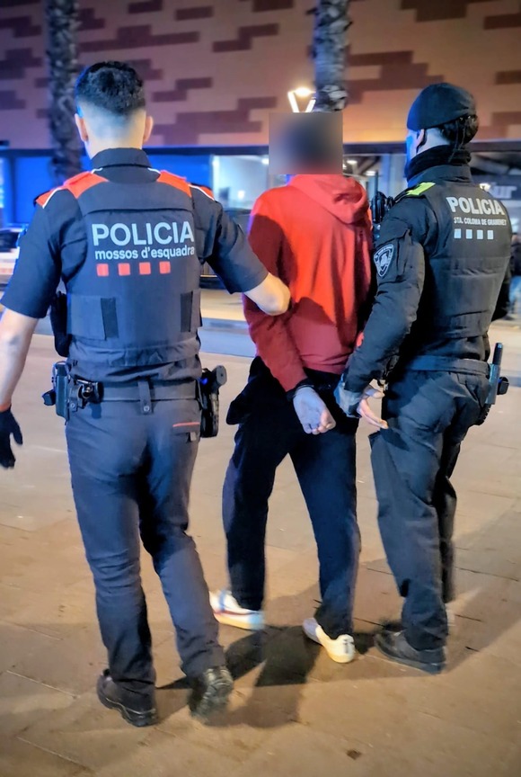 Detingut el presumpte autor de diversos incendis de contenidors a Santa Coloma