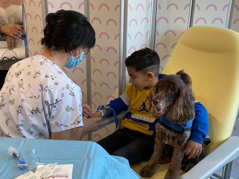 Un miler de pacients de l'Hospital Germans Trias i Pujol són usuaris del servei d'assistència amb gossos al llarg de l'any