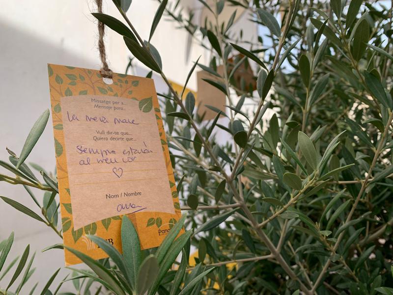 Una olivera i missatges per qui ja no hi és, una iniciativa al Tanatori de Badalona