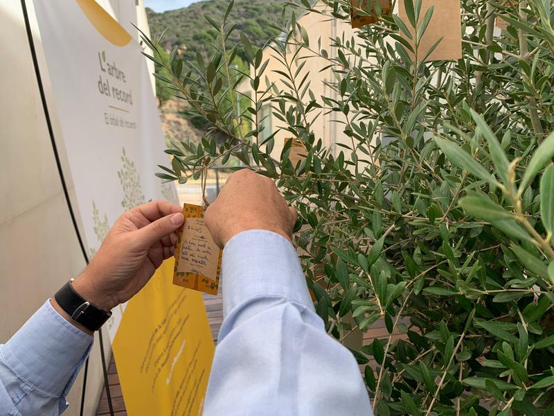 ARBRE DELS RECORDS (3)