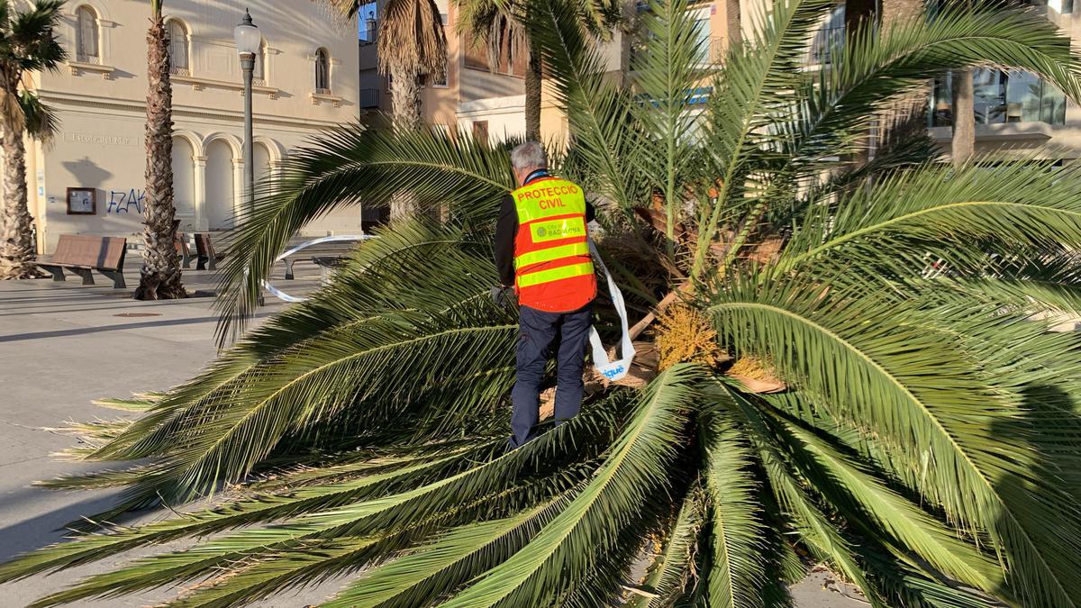 palemra rambla terra