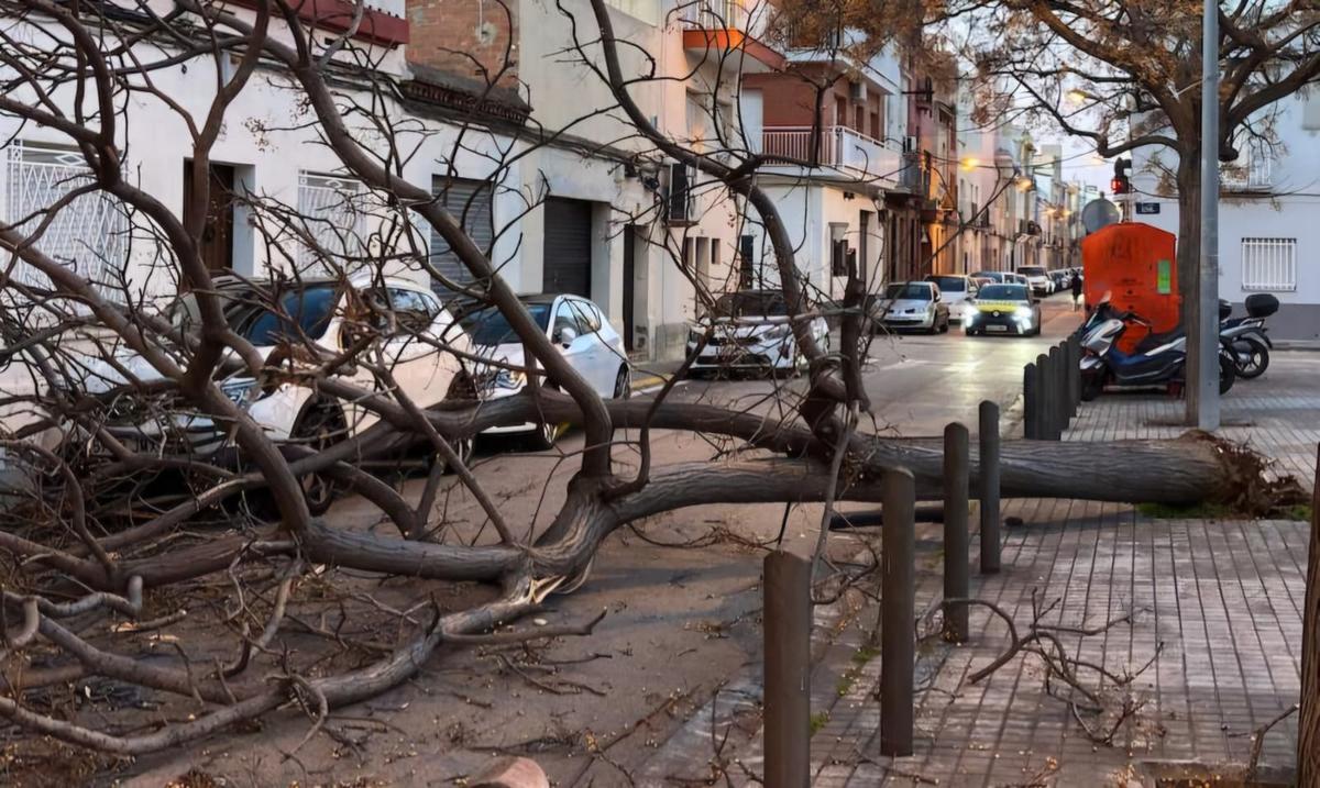 Vents de 100km/h i més d'un miler d'avisos al Barcelonès Nord, la meitat dels rebuts a Catalunya