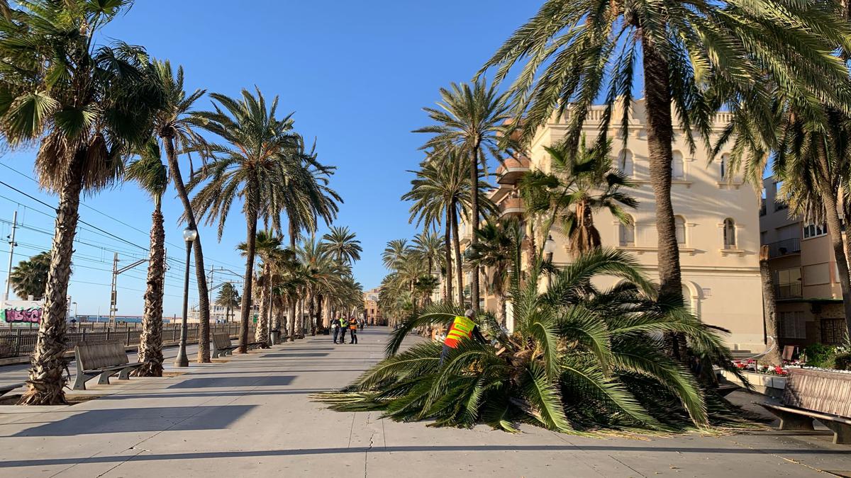 Guanyem Badalona acusa el govern d'inacció davant les emergències climàtiques