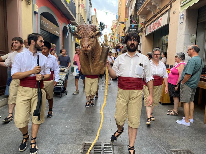 processó mare de deu carme i bou de mar (1)