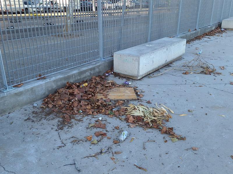 BRUTÍCIA SKATE ÀGORA
