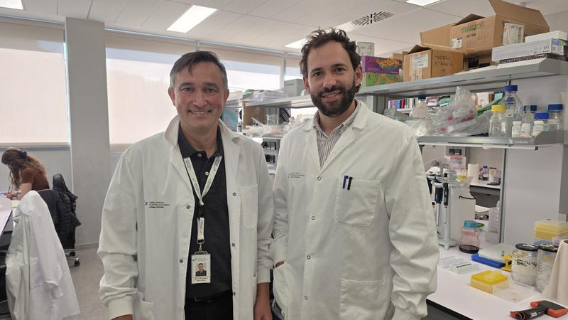 Descoberta una nova diana terapèutica per combatre la leucèmia mieloide aguda