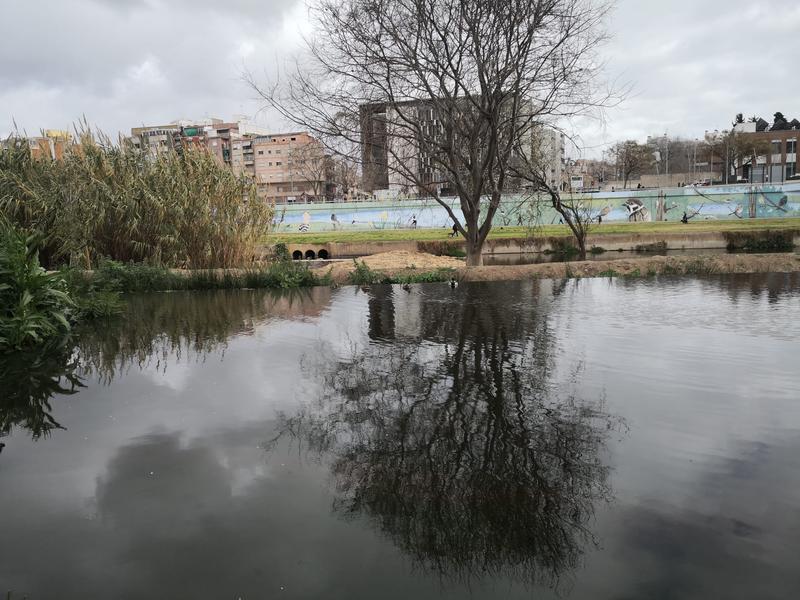 Com és el Refugi de la Biodiversitat del Riu Besòs?