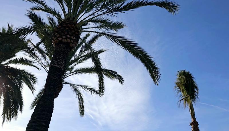 MÉTEO | Dijous de calma abans d'un canvi de temps amb l'inici del cap de setmana