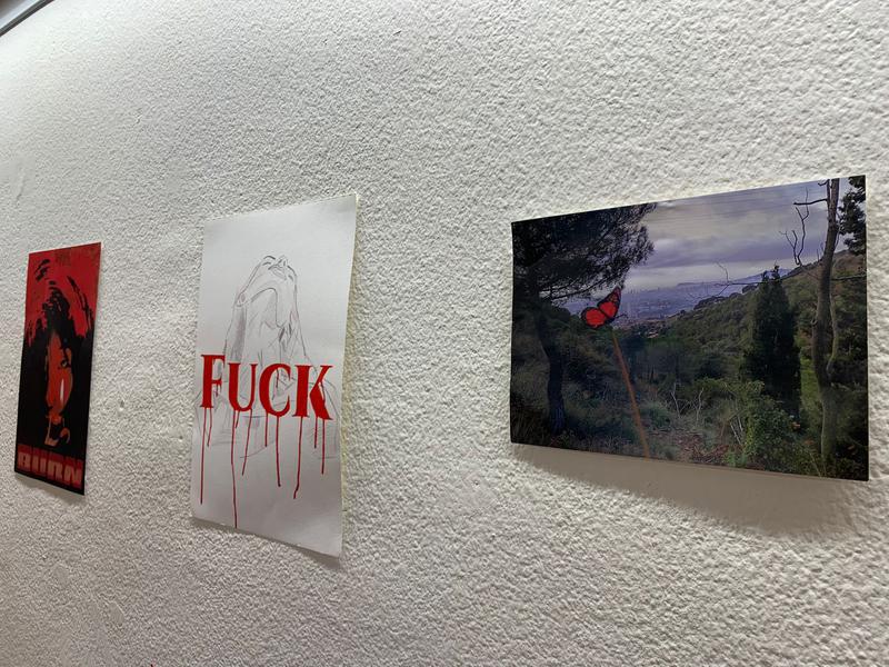 Artistes novells i la professionalització de l'art