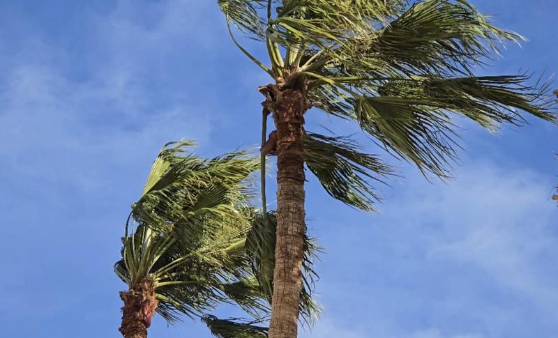 MÉTEO | Avís actiu per fortes ratxes de vent aquest divendres