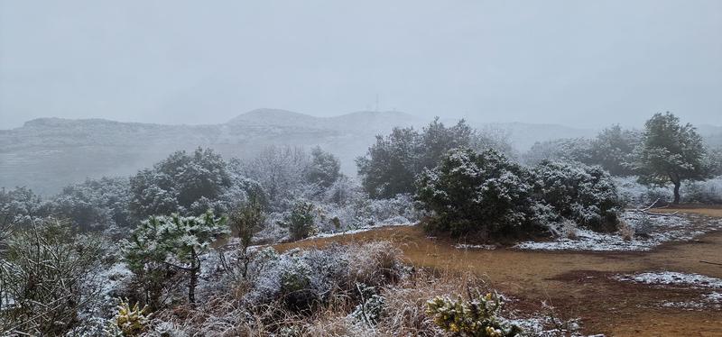 WhatsApp Image 2023-02-27 at 11.37.04