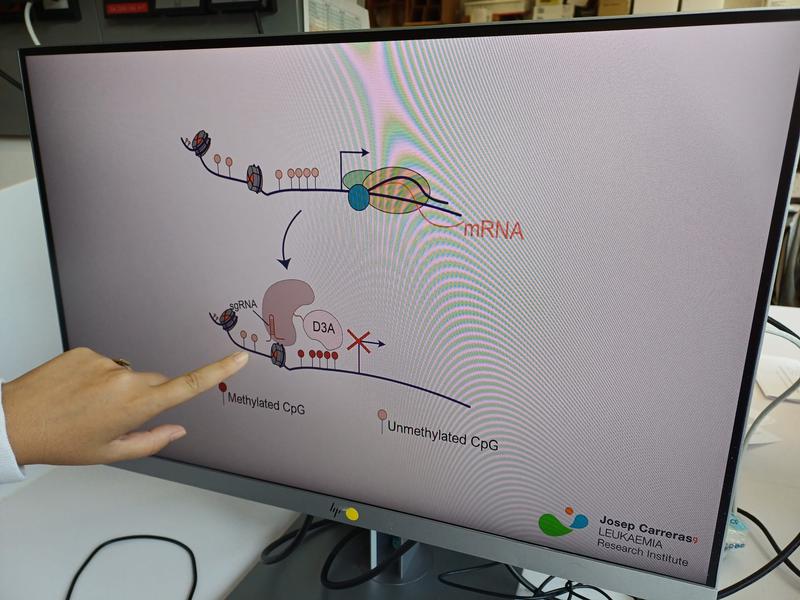 epigenètica carreras 2