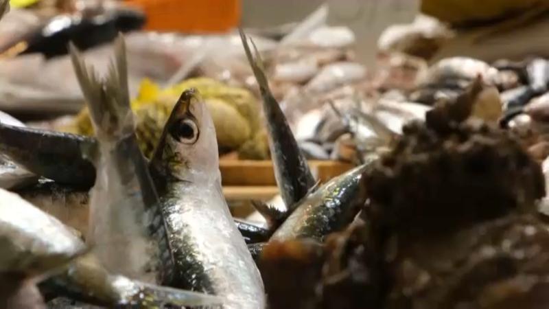 Es redueix un 40% el consum de peix fresc a Catalunya en els últims 15 anys: quins motius hi ha al darrere?