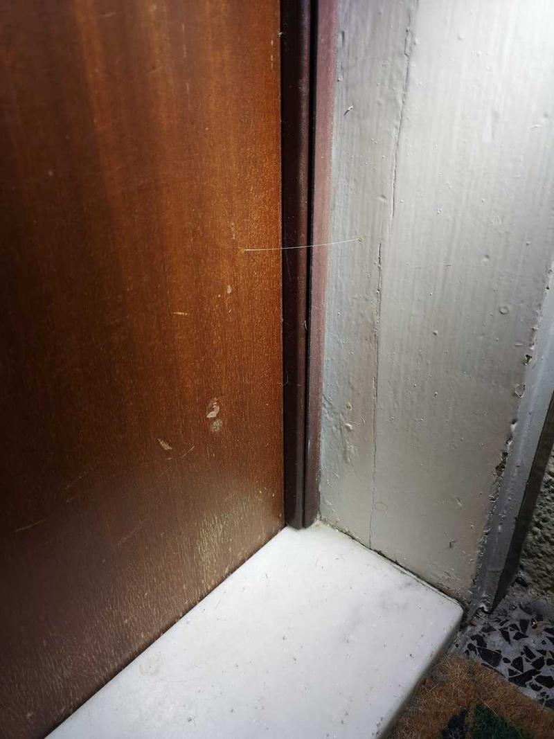 Els Mossos detenen un home que portava claus mestres per obrir la porta d'un bloc de pisos a Badalona