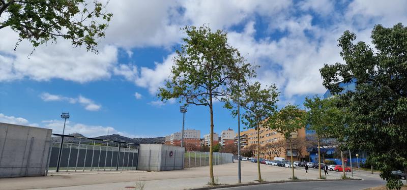 MÉTEO | El temps respectarà la diada de Sant Jordi, abans hi haurà un breu canvi