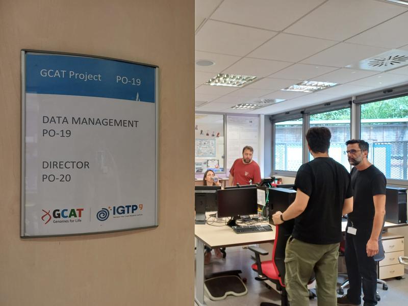 Un estudi de l'IGTP podria explicar per què la covid persistent afecta més a dones postmenopàusiques