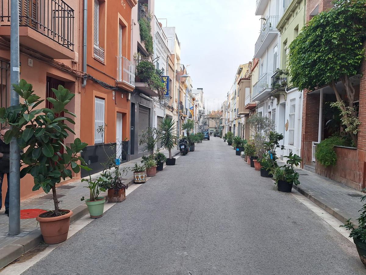 CARRER LA LLUNA PLANTES