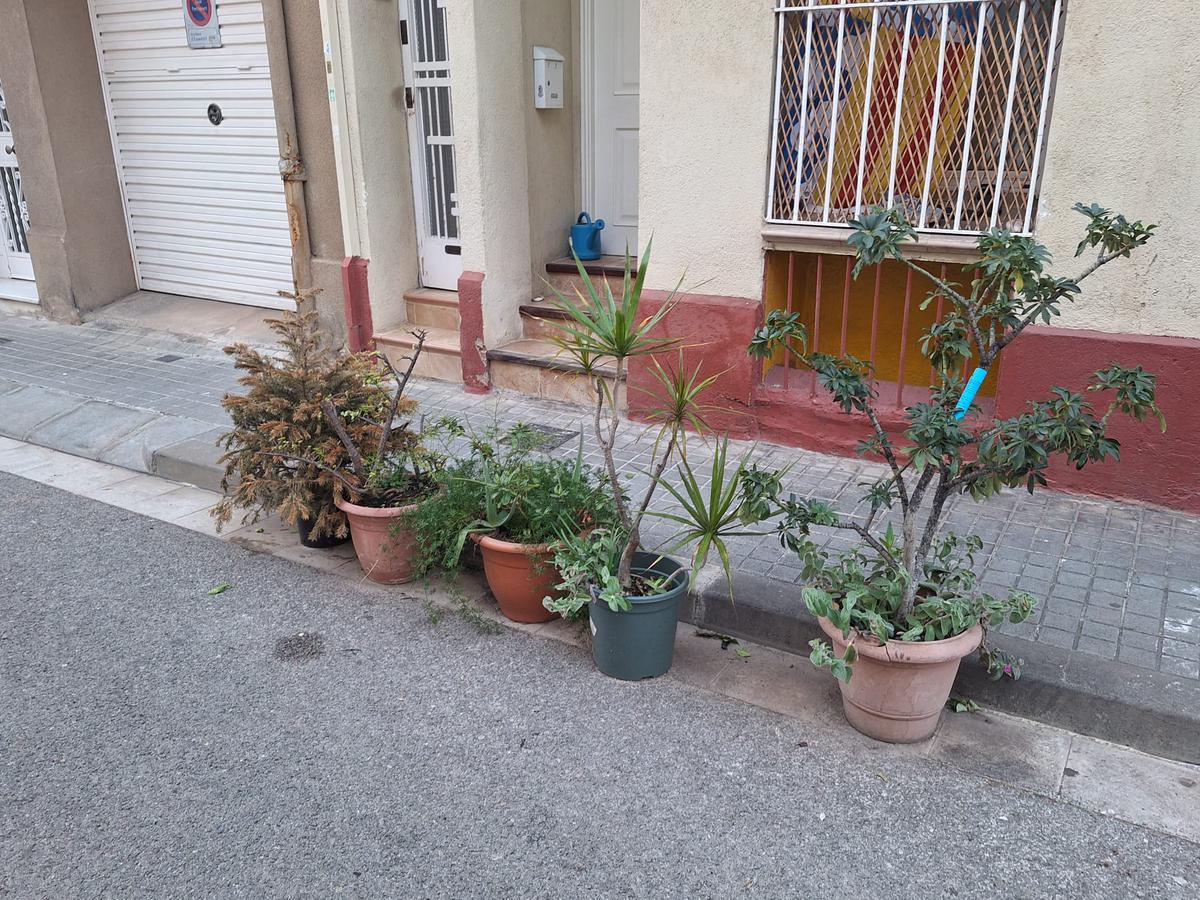 CARRER LA LLUNA PLANTES 2