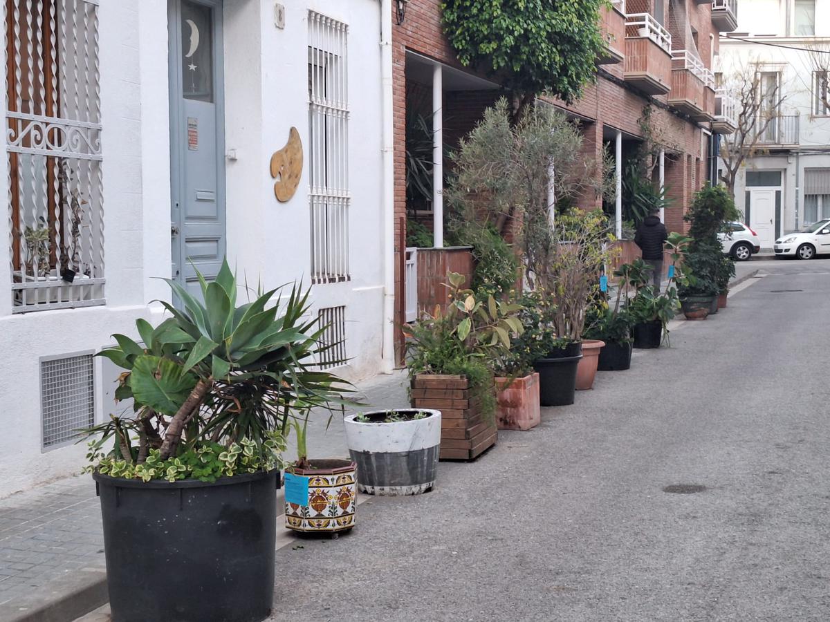 CARRER LA LLUNA PLANTES 3
