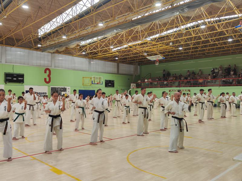 Cloenda de curs a l'Oyama's Karate amb un entrenament obert a les famílies