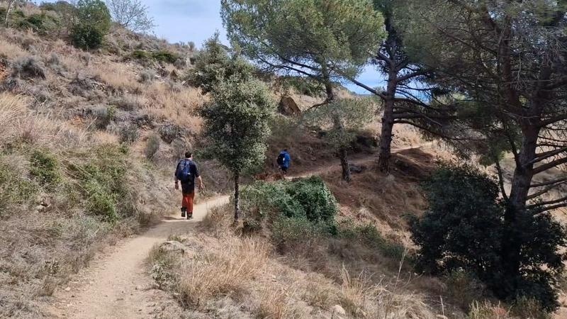 Al paisatge hi manca l'esclat de color de la primavera