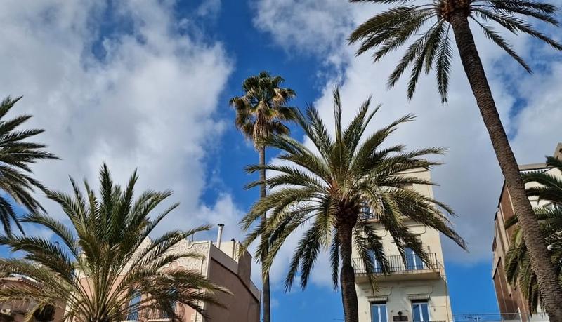 MÉTEO | Dimecres de treva abans d'unes festes de Nadal amb núvols i pluja